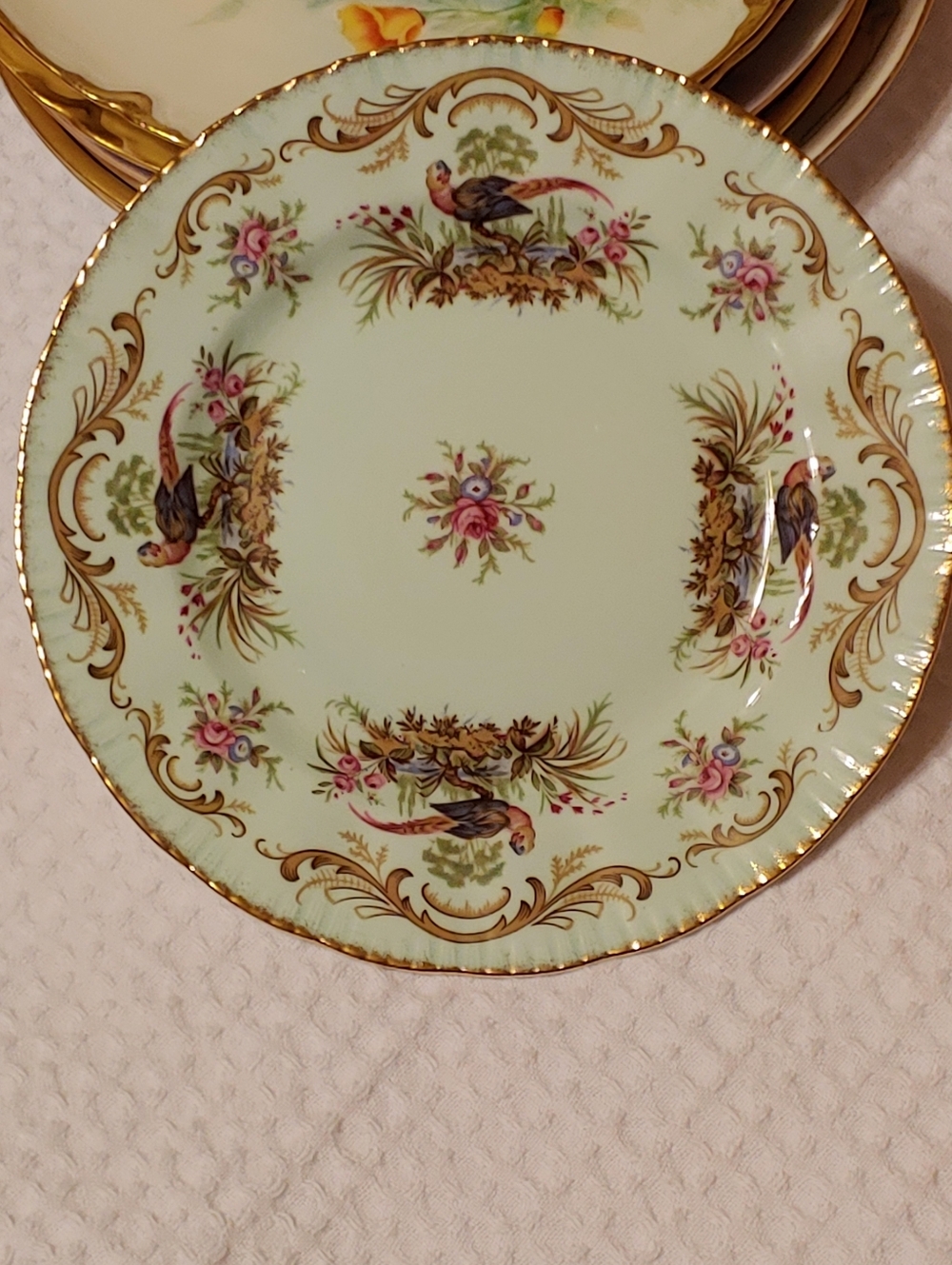 PARAGON Pale Green Porcelain Plate with Gold Trim & Floral Bird Design. Swansea